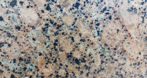 Baltick Brown Granite