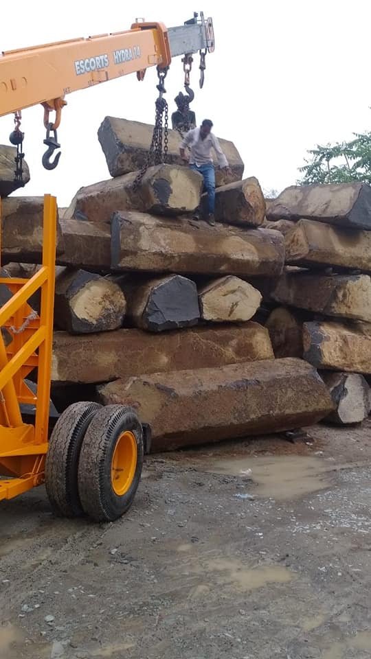 125230181 404738100888632 6618729577923537019 n