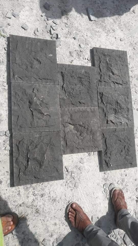 125288170 404738340888608 641637890181862067 n