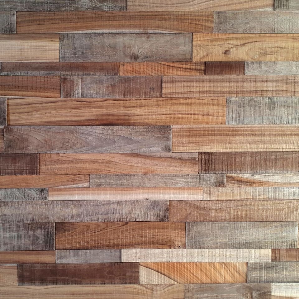 24909688 1556975091038082 4289637285450414901 n