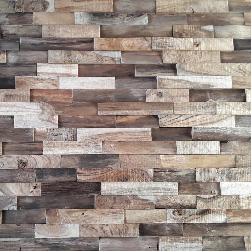 24993340 1556974811038110 9005772712010217836 n