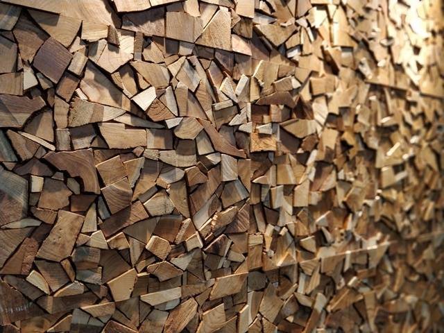 37841926 1812970975438491 4658685467590393856 n