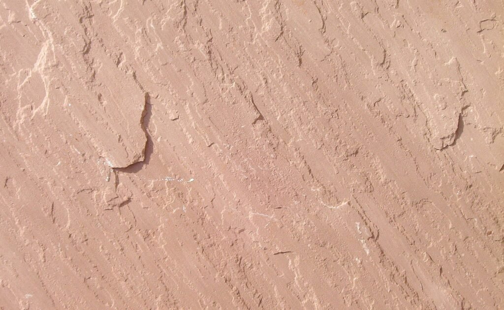 475794782 1026512619499744 6423408100819065531 n