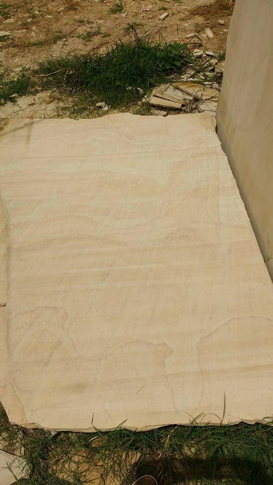 488927204 2027061544373087 1279538550821549955 n