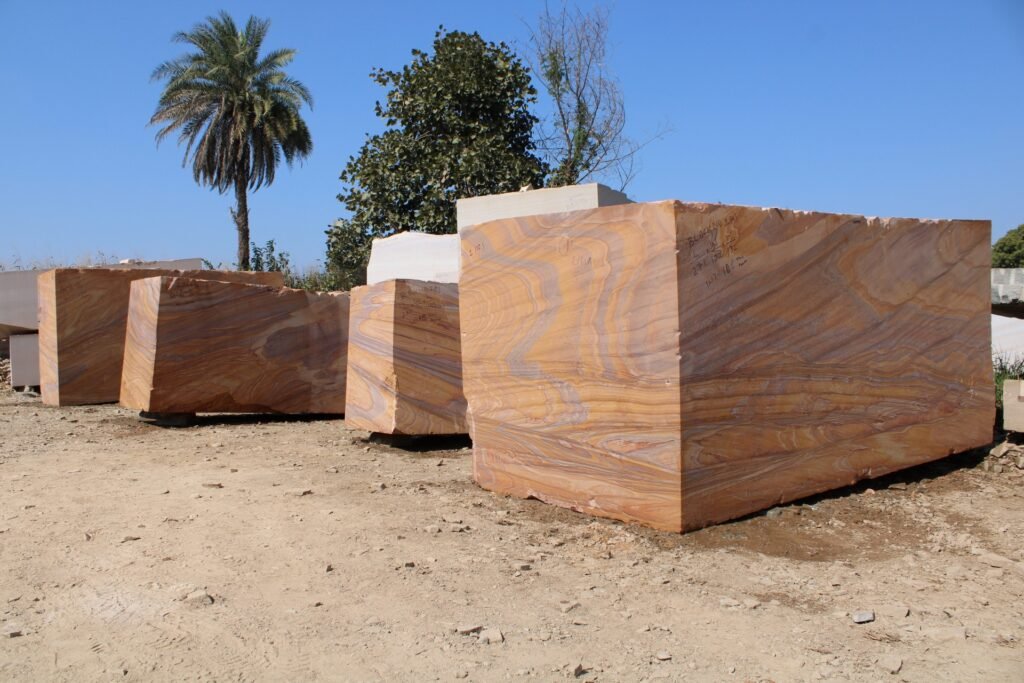 494197650 1258028819666331 3572547649538045951 n