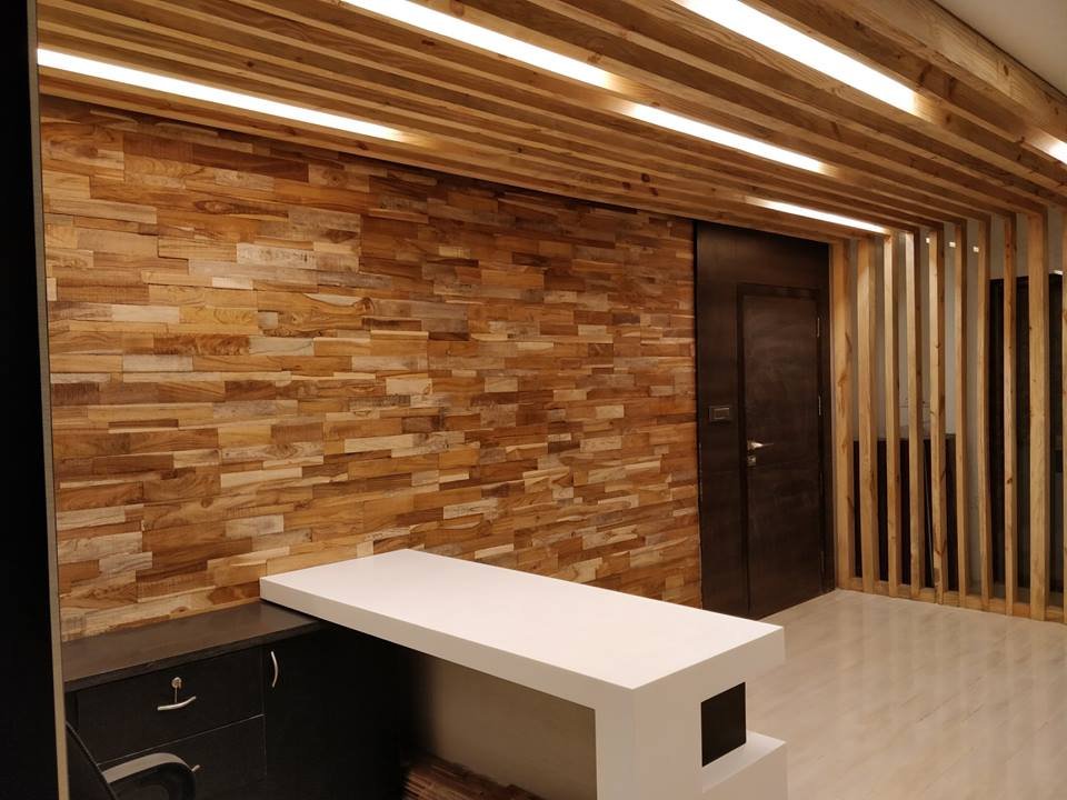 50623432 2059118724157047 7480970986746019840 n