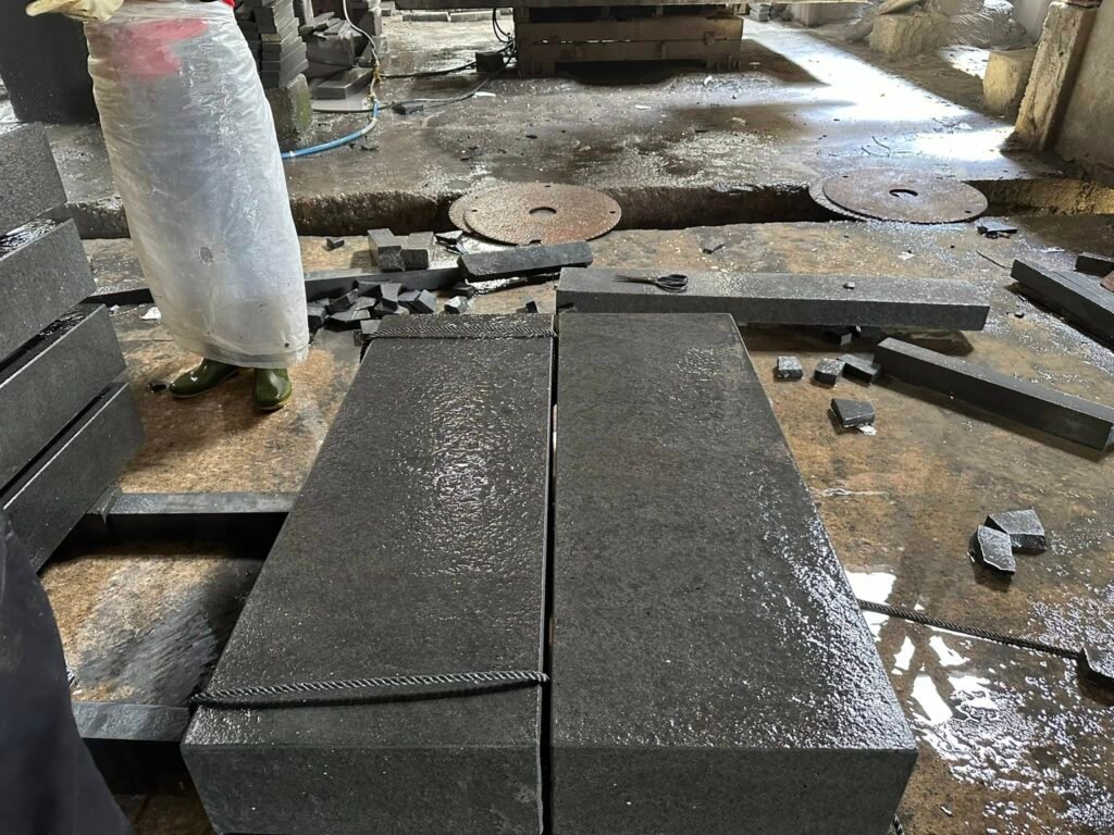 511074589 1233967858425918 4793889098833603506 n