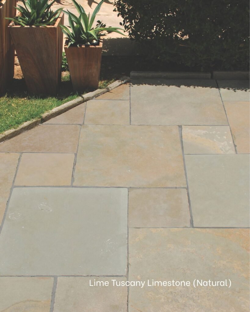 526726198 1257011886435531 7794079467045167608 n