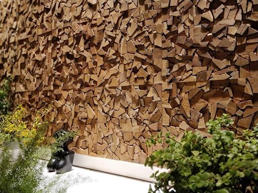 57133770 574669933043557 4236483069927751680 n