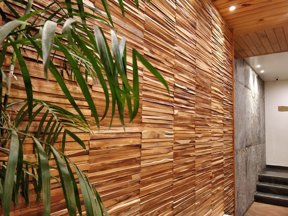 64455978 2278804312188486 5389834346142105600 n