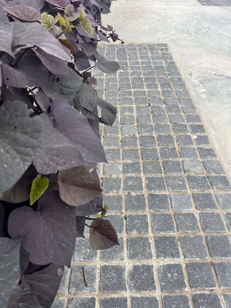 Black Limestone Handcut Cobbles