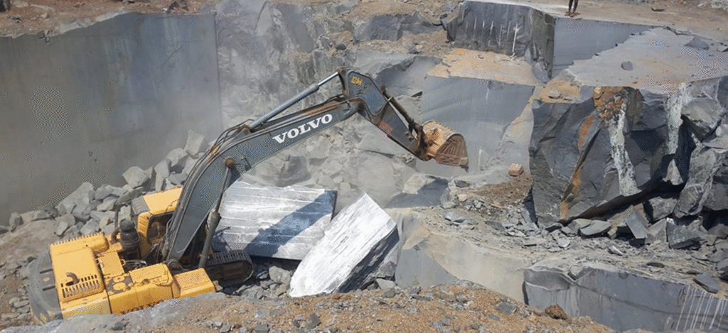 Moon Exports India (2)