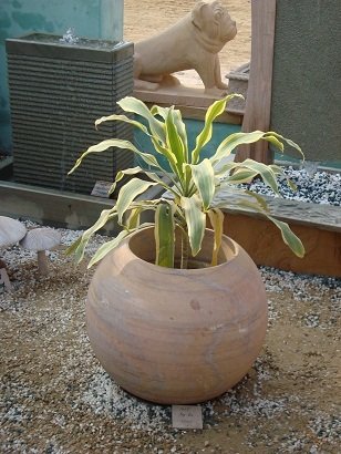 Sphere Planter