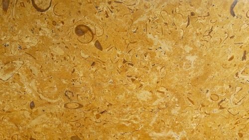 Sun flower Gold Limestone