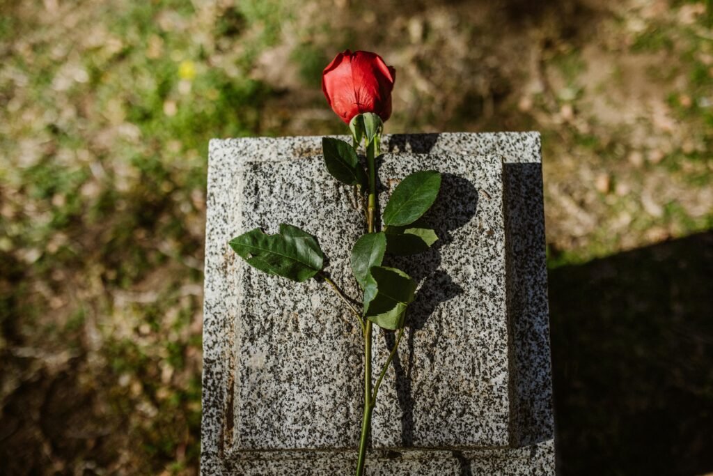 Home 59 Natural Stones Direct from Quarry Owners, Manufacturers, and Exporters. A poignant image showcasing a red rose on a tombstone in a sunlit cemetery, symbolizing love and remembrance.