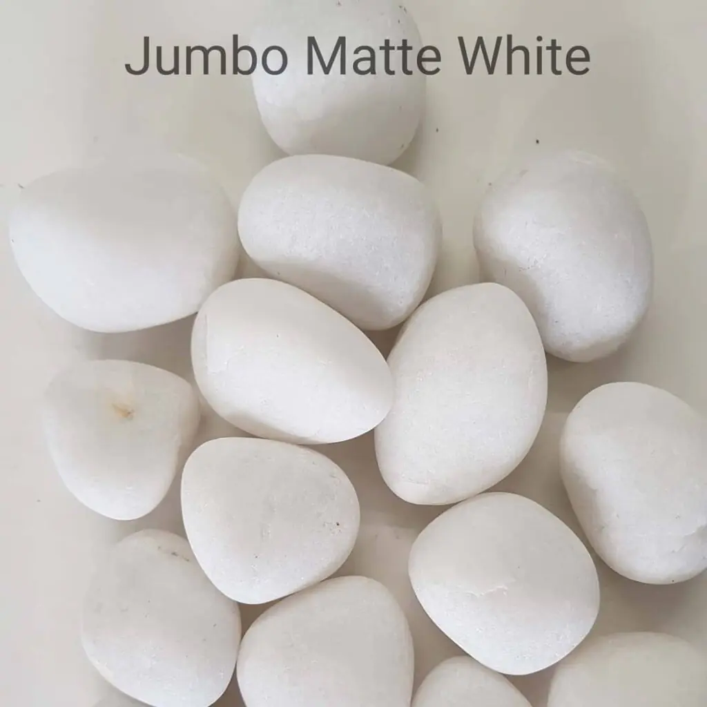 36847407 2191952984168161 1810777212928917504 n