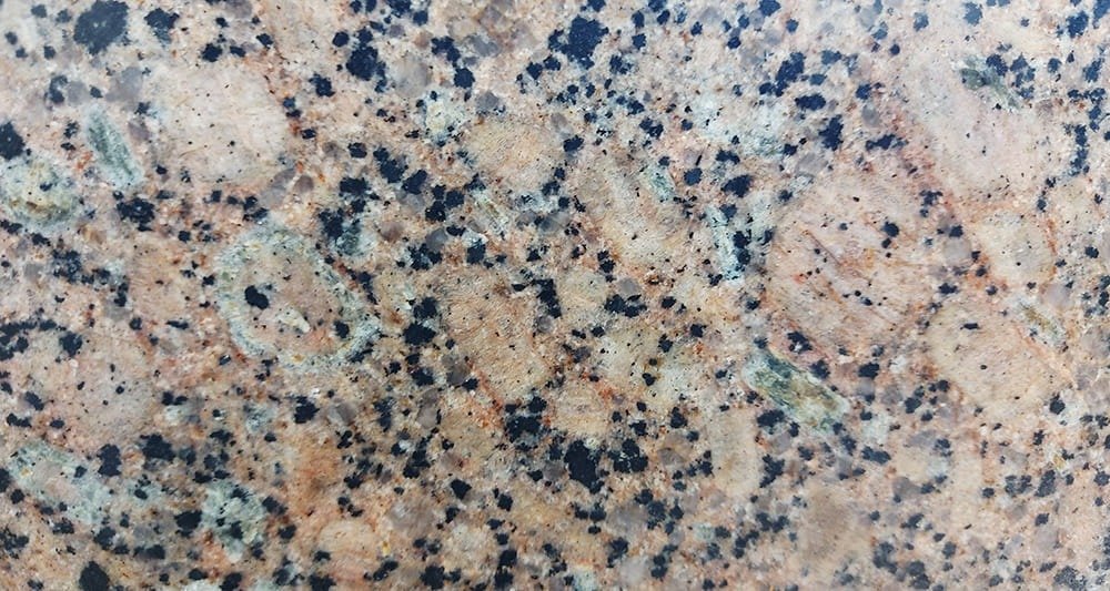 BALTICK BROWN