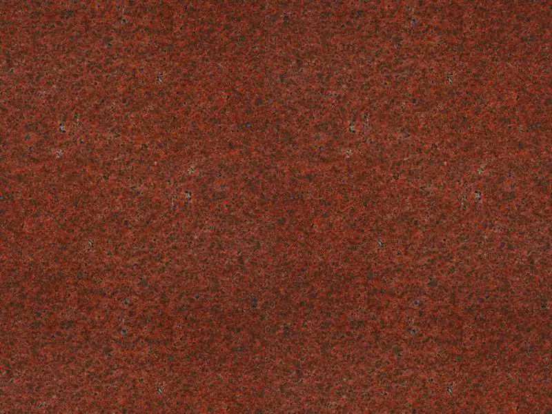 BRUNO RED