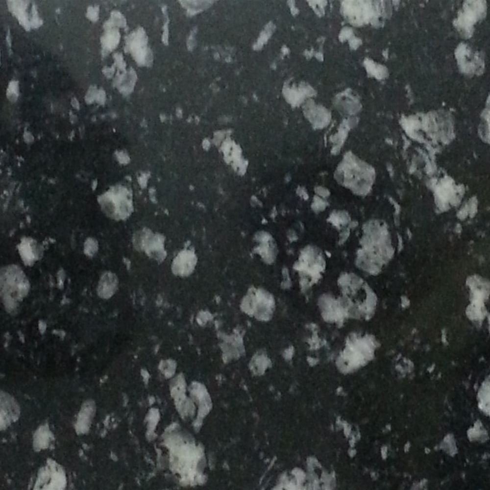 COIN BLACK