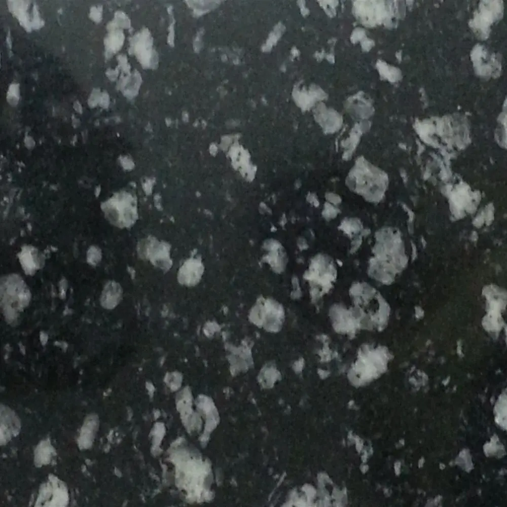COIN BLACK