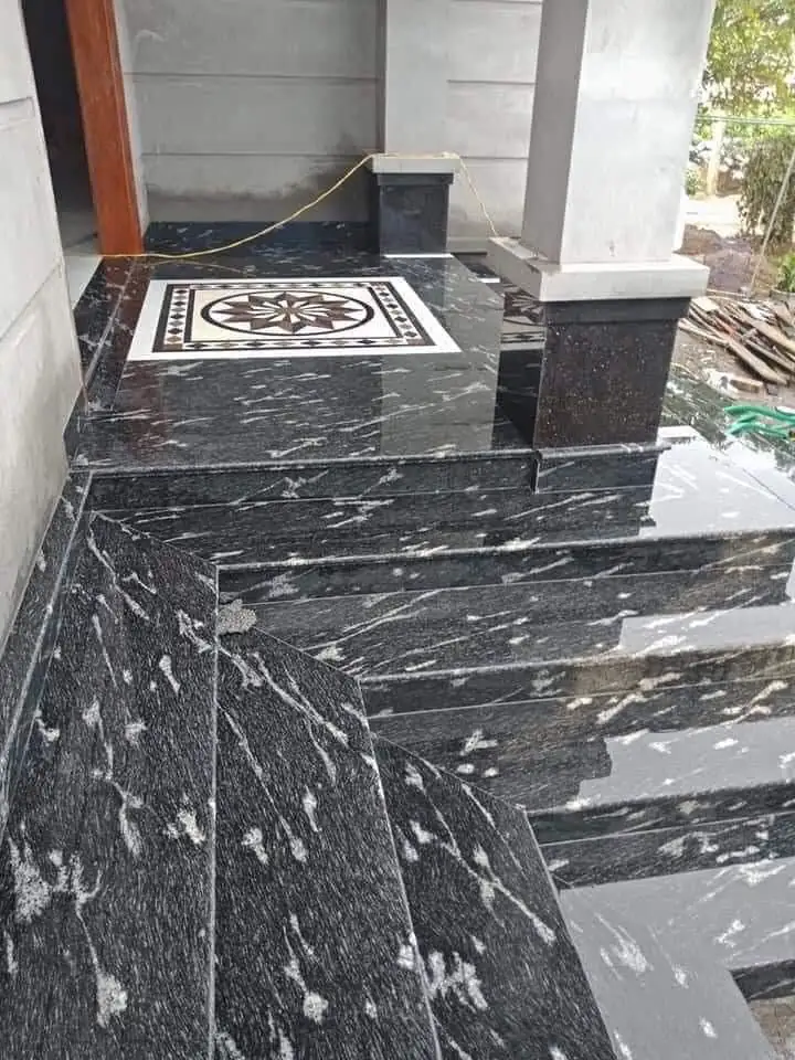 Fish Black Granite Stairs