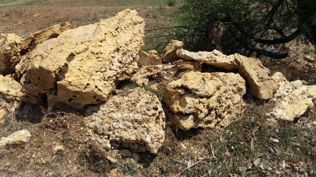 IMG 20160626 WA0007