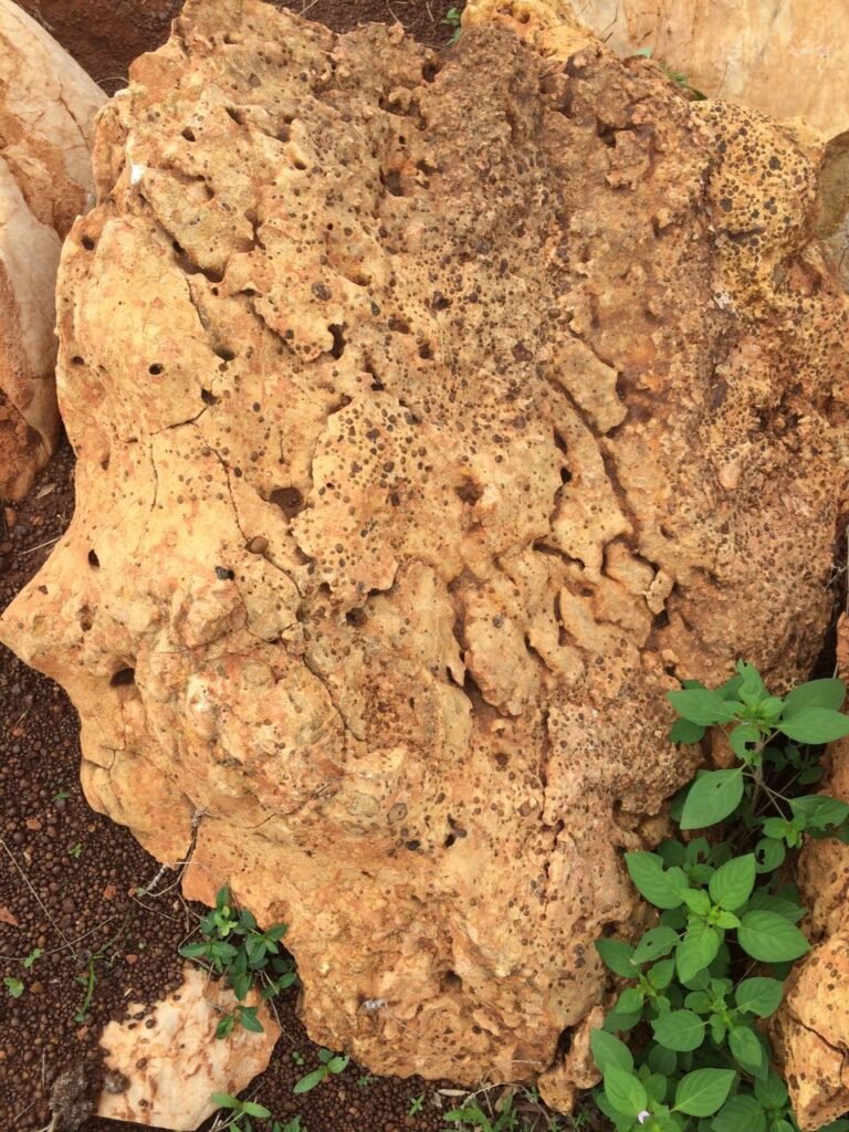 IMG 20160718 WA0005