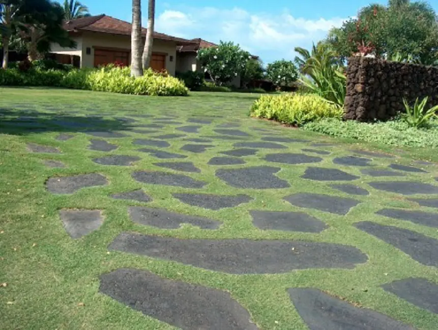 basalt stepping stone Paving
