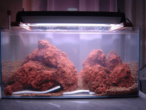 l1